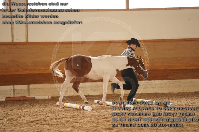 s_A_901024.JPG